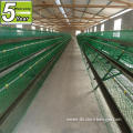 Agricultural Equipment poultry farm chicken cages factory